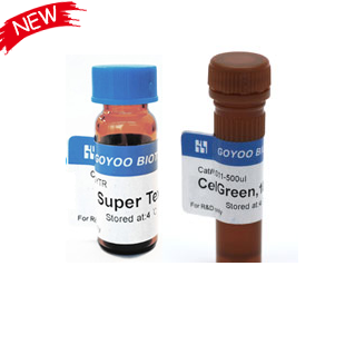 鿴Ʒ:GY587-2-100mg ATTO Rho101ǰ|